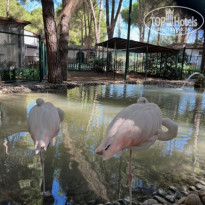 фото из отзыва ID 2384915