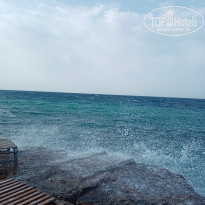 фото из отзыва ID 2385680