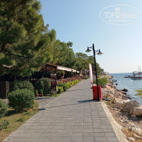 фото из отзыва ID 2385756