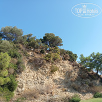 фото из отзыва ID 2385756