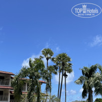 фото из отзыва ID 2385763