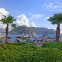 фото из отзыва ID 2385889