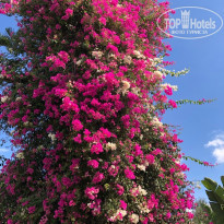 фото из отзыва ID 2385938