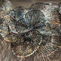 фото из отзыва ID 2386015