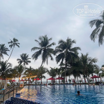 фото из отзыва ID 2386015