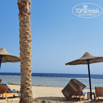 фото из отзыва ID 2386085