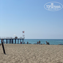 фото из отзыва ID 2386156