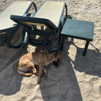 фото из отзыва ID 2386274