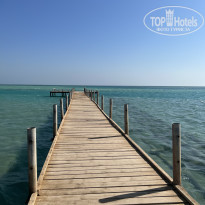 фото из отзыва ID 2386459