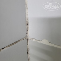 фото из отзыва ID 2386541