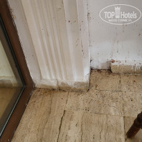 фото из отзыва ID 2386541