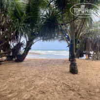 фото из отзыва ID 2386619