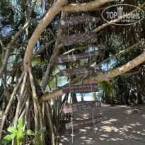 фото из отзыва ID 2386619