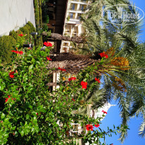 фото из отзыва ID 2386643