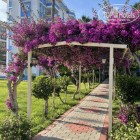 фото из отзыва ID 2386682