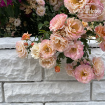 фото из отзыва ID 2386682