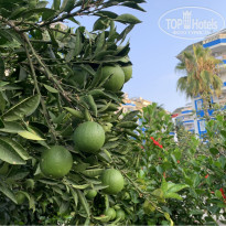 фото из отзыва ID 2386682