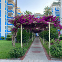 фото из отзыва ID 2386682