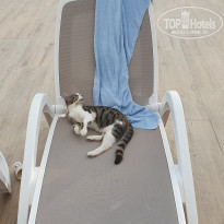 фото из отзыва ID 2386695