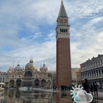 фото из отзыва ID 2386777