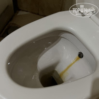 фото из отзыва ID 2386121