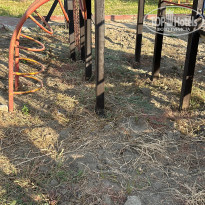 фото из отзыва ID 2386855