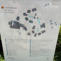 фото из отзыва ID 2386867