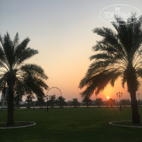 фото из отзыва ID 2386884