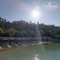 фото из отзыва ID 2386943