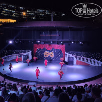 фото из отзыва ID 2386973