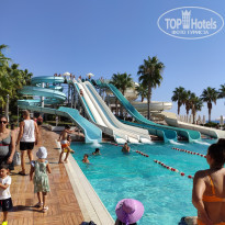 фото из отзыва ID 2386973