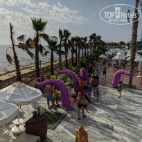 фото из отзыва ID 2386973