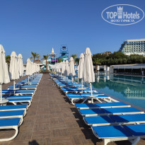 фото из отзыва ID 2386973