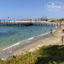 фото из отзыва ID 2386973