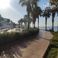 фото из отзыва ID 2386973