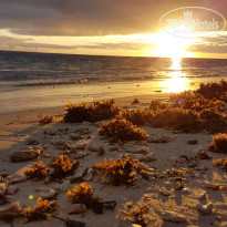 фото из отзыва ID 2387106