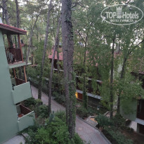 фото из отзыва ID 2387142