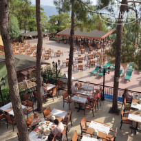 фото из отзыва ID 2387142