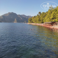 фото из отзыва ID 2387142