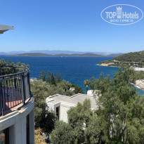 фото из отзыва ID 2387087