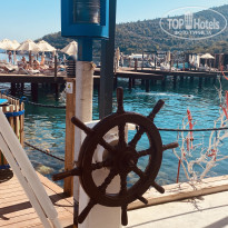 фото из отзыва ID 2387087