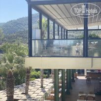 фото из отзыва ID 2387087