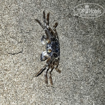 фото из отзыва ID 2387193