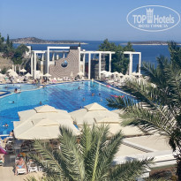 фото из отзыва ID 2387087