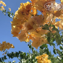 фото из отзыва ID 2387087