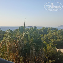 фото из отзыва ID 2387216