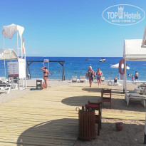 фото из отзыва ID 2387216