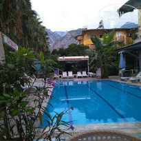 фото из отзыва ID 2387337