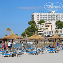 фото из отзыва ID 239398