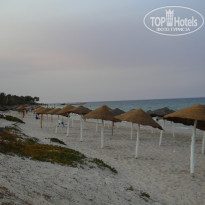 фото из отзыва ID 239593